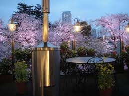 テラス席桜の季節